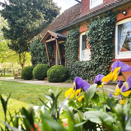 Am Alten Haus Altenmedingen Екстериор снимка
