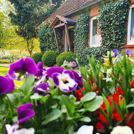 Am Alten Haus Altenmedingen Екстериор снимка