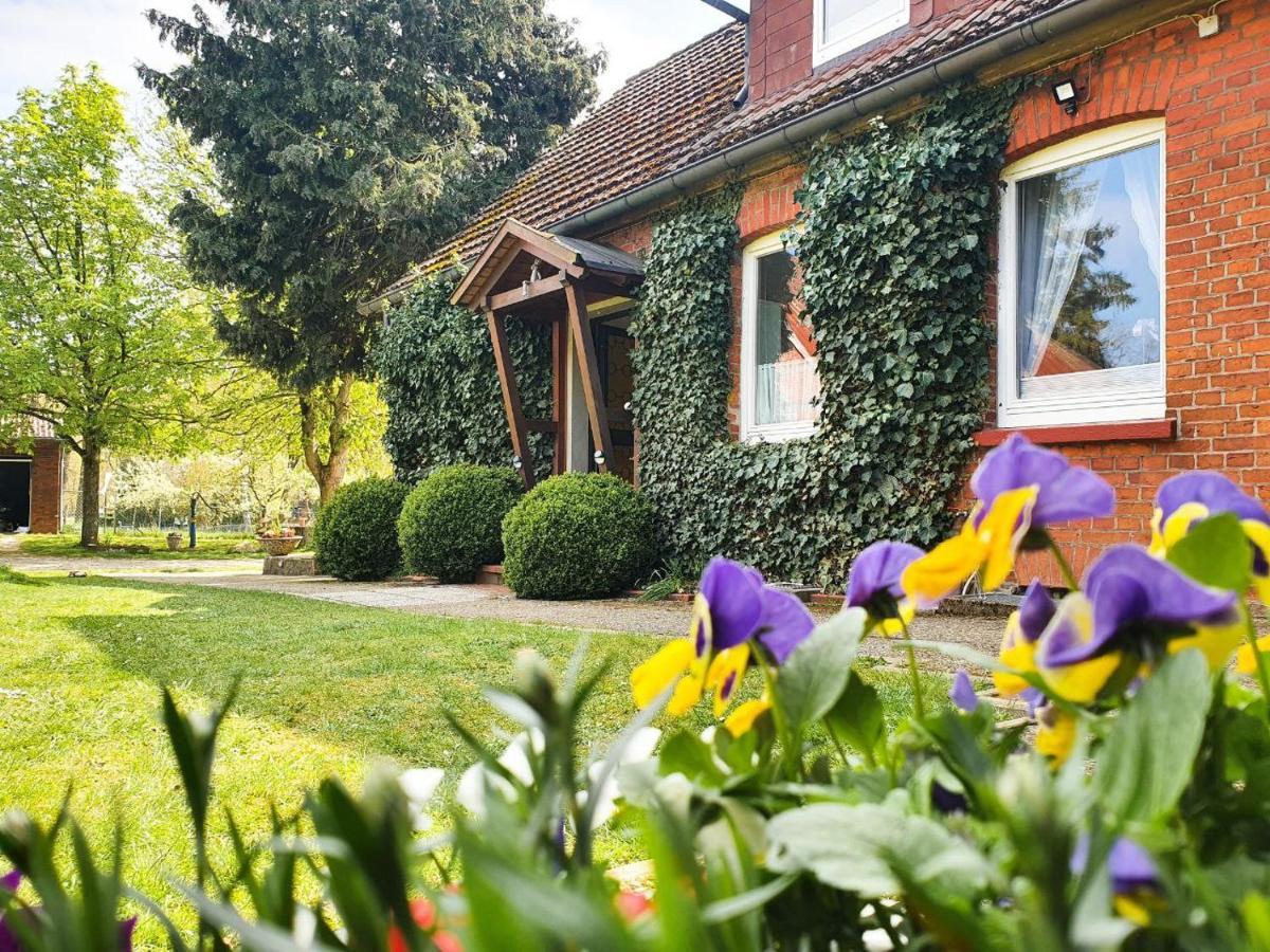 Am Alten Haus Altenmedingen Екстериор снимка