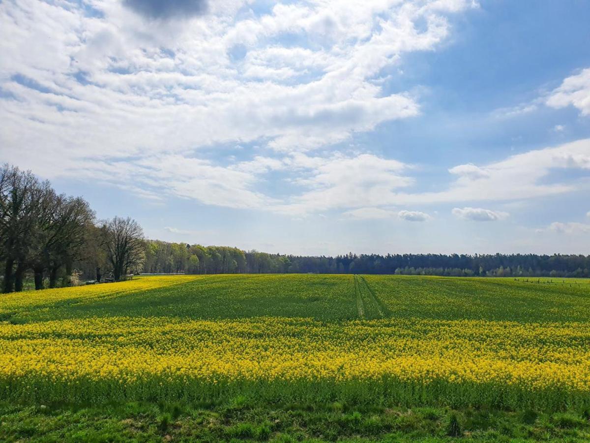 Am Alten Haus Altenmedingen Екстериор снимка