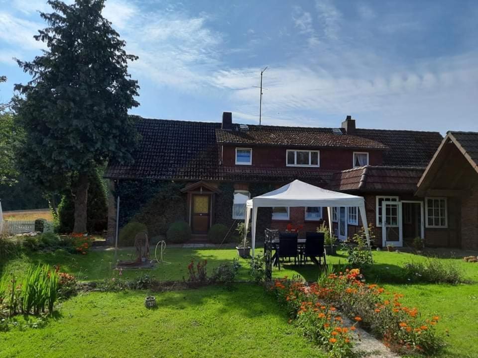 Am Alten Haus Altenmedingen Екстериор снимка