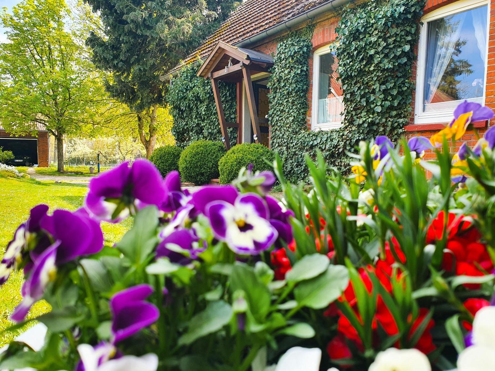 Am Alten Haus Altenmedingen Екстериор снимка